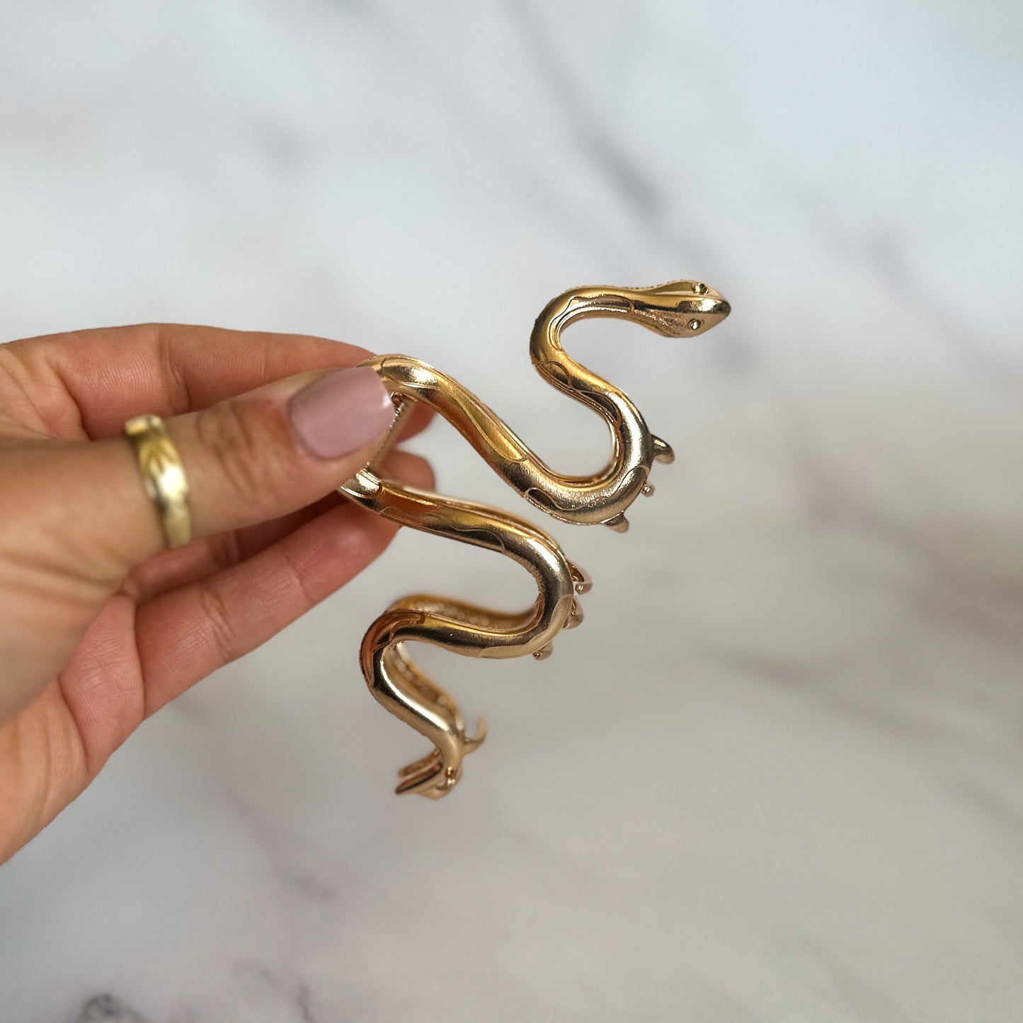 NAGINI
